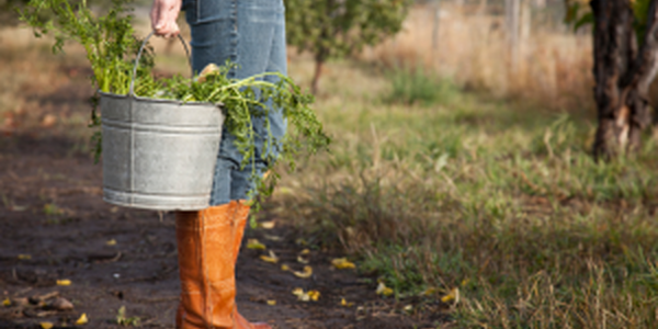 person in boots holding bucket on farm